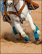 Barrel Race